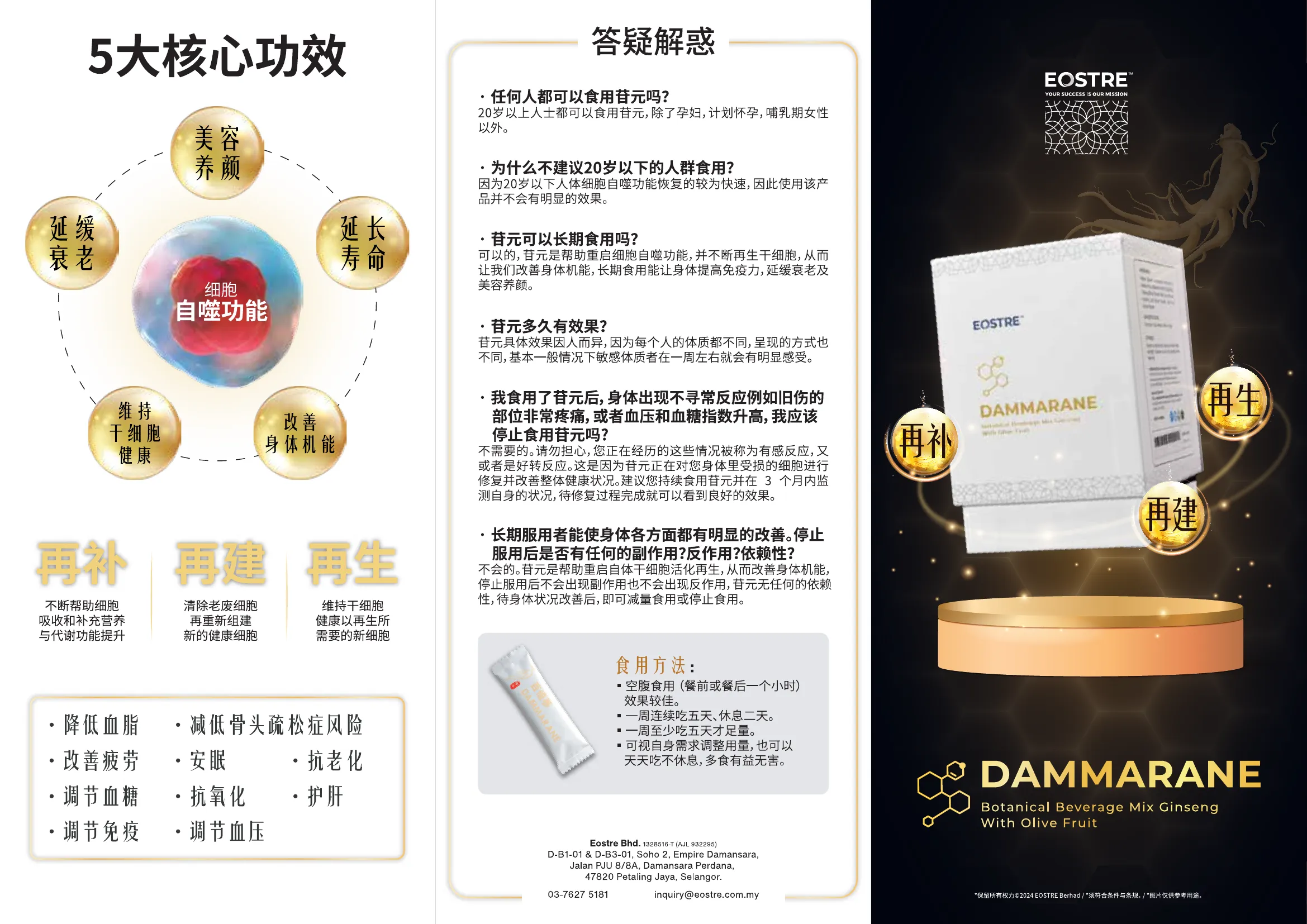 Dammarane-Brochure-2024-CN-FA-Digital-Small
