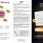 Dammarane Brochure 2024 EN FA Digital Small