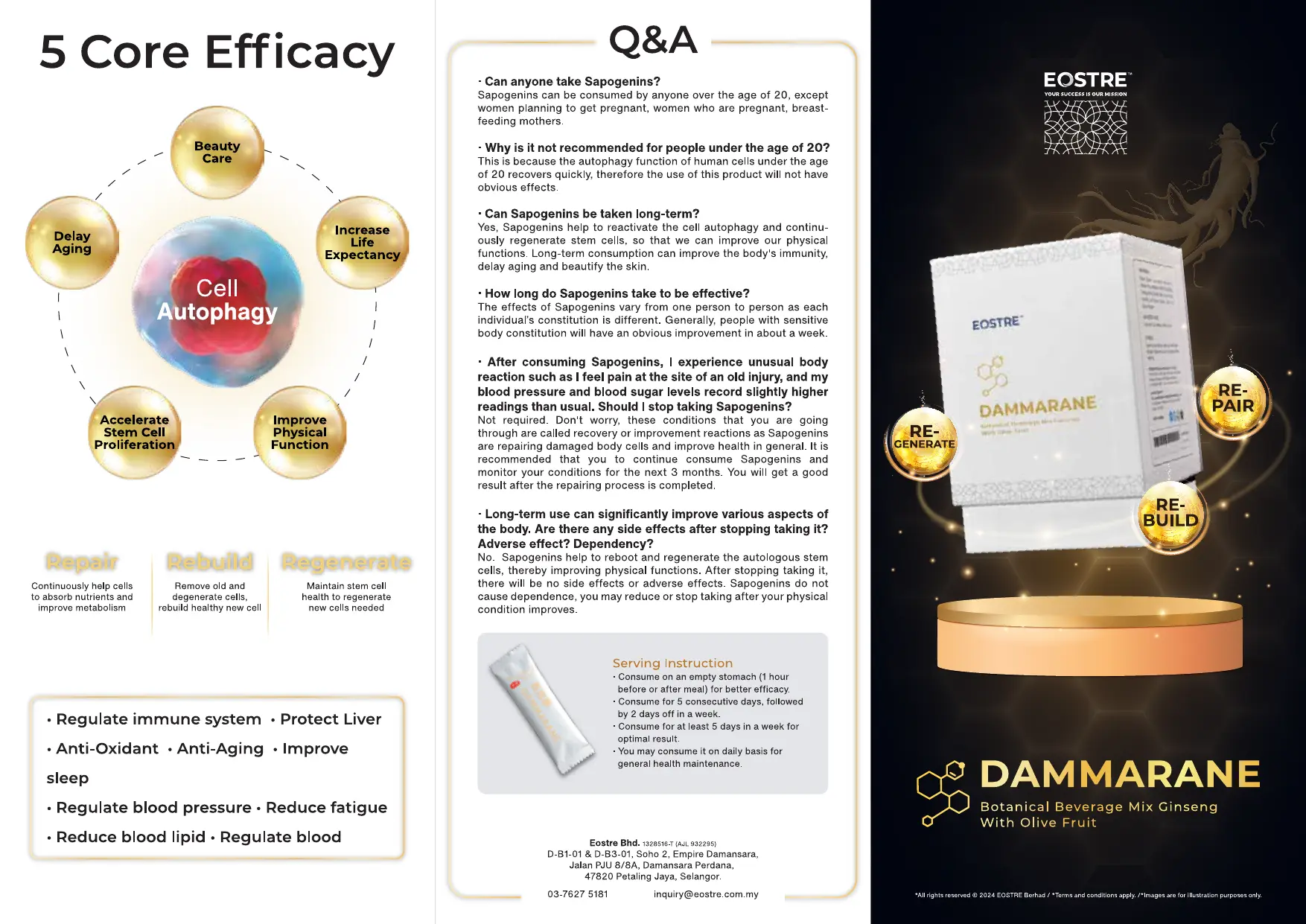 Dammarane Brochure 2024 EN FA Digital Small